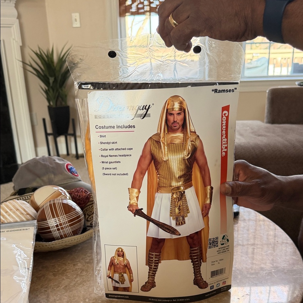 Dreamgirl Men's Egyptian Pharaoh Costume - Gold and White